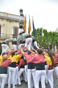 Agulla 4de6a Sant Jordi 2015